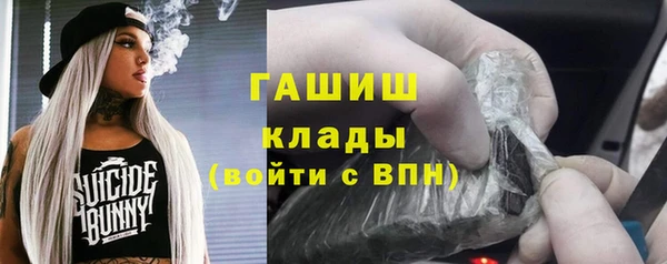 шишки Снежинск