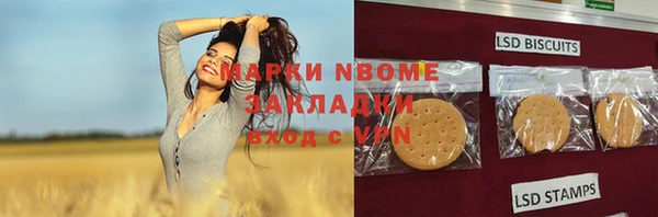 метадон Алексин