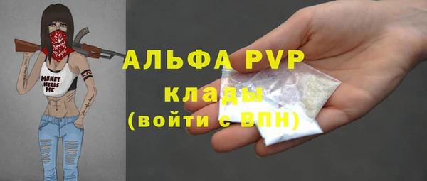 метадон Алексин