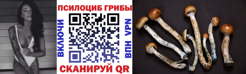 blacksprut ссылка  закладка  Чебаркуль  Псилоцибиновые грибы ЛСД 
